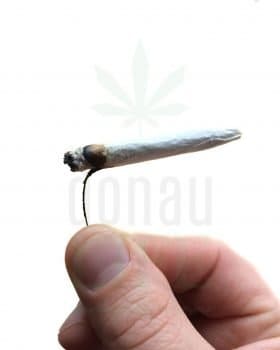 Headshop RANDY´S Wired Original rolling paper | Drahtpaper
