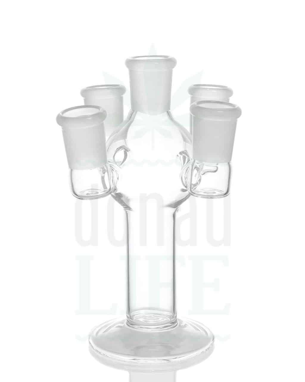 nach Hersteller GRACE GLASS Bongkopfhalter Glas ‘high5’ | 18,8 mm