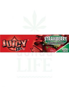 Strawberry | 24er Box